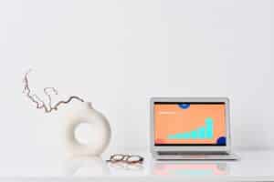 Photo by Mikael Blomkvist: https://www.pexels.com/photo/laptop-beside-a-ceramic-vase-6483626/ 