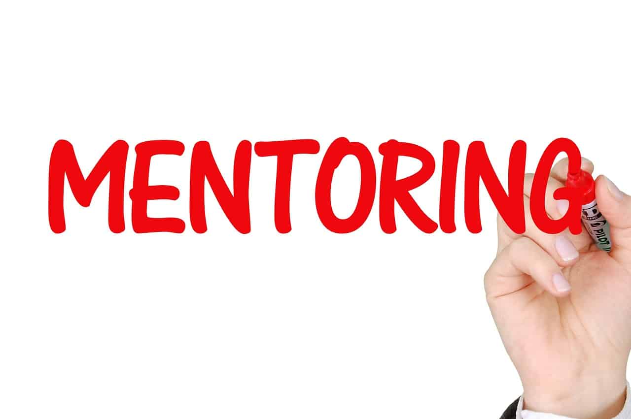 Image by Pete Linforth from Pixabay https://pixabay.com/photos/mentoring-business-success-mentor-2738524/ -- business mentor