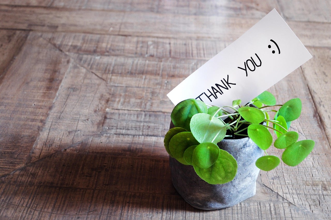 Image by Adrian from Pixabay https://pixabay.com/photos/thank-you-thank-you-card-table-3690115/ 